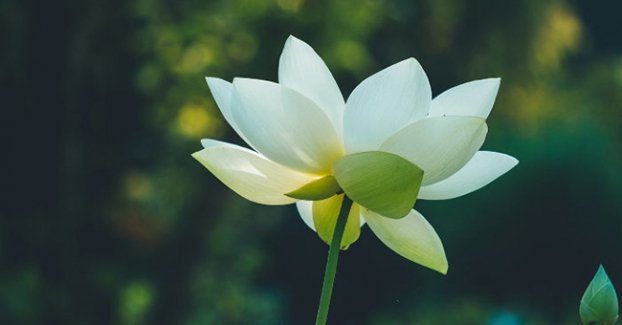 Điều gì đến sẽ đến