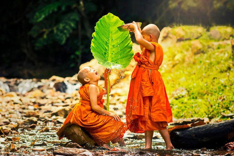 Cái giá của sự thông thái