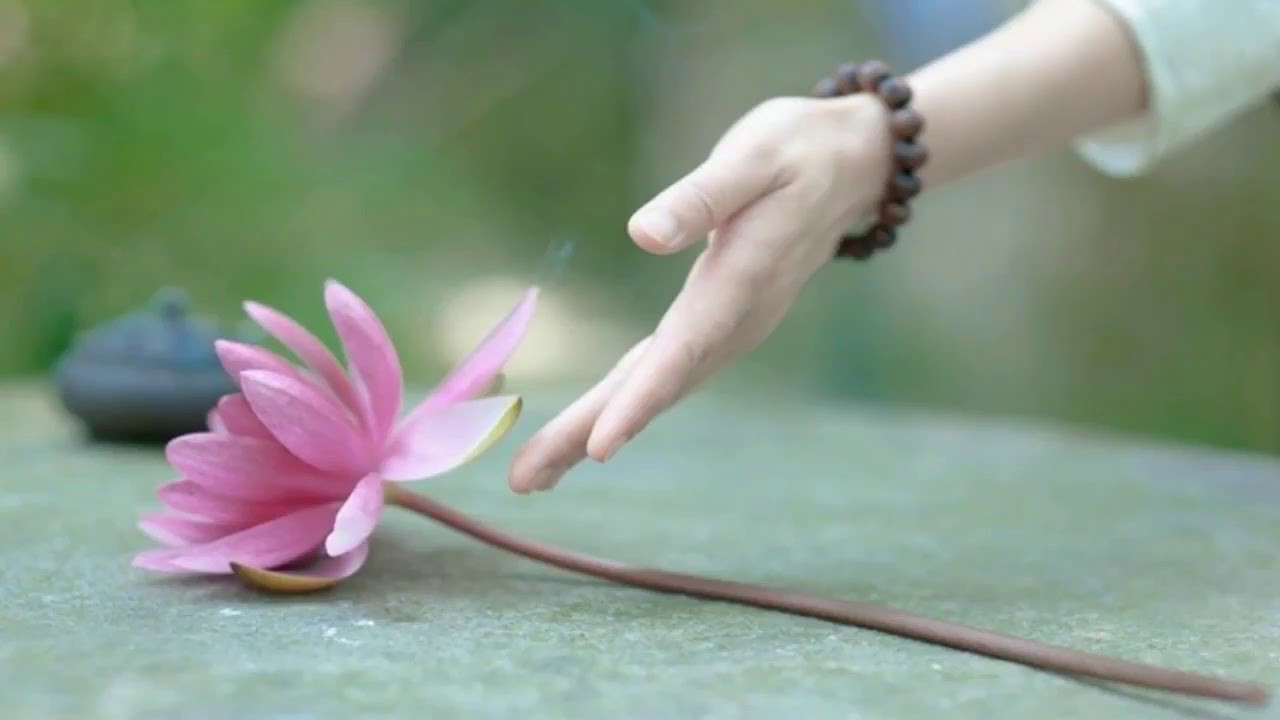 Hãy trân trọng những gì mà bạn đang có