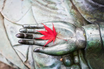 Đôi lần trong cuộc đời