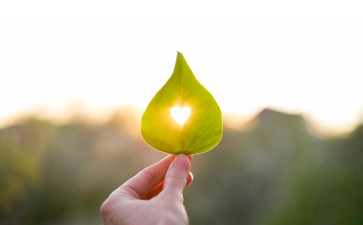 Hãy cười, thở và bước đi thật chậm