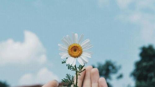 Hãy để mọi thứ trôi qua theo cách mà nó đã xảy ra