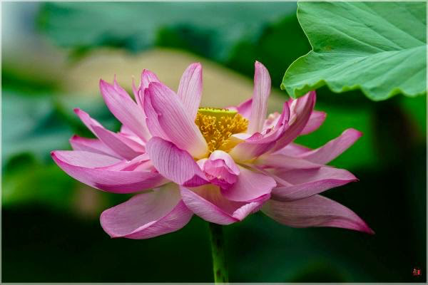 Làm bất luận việc gì cũng phải để một đường lui