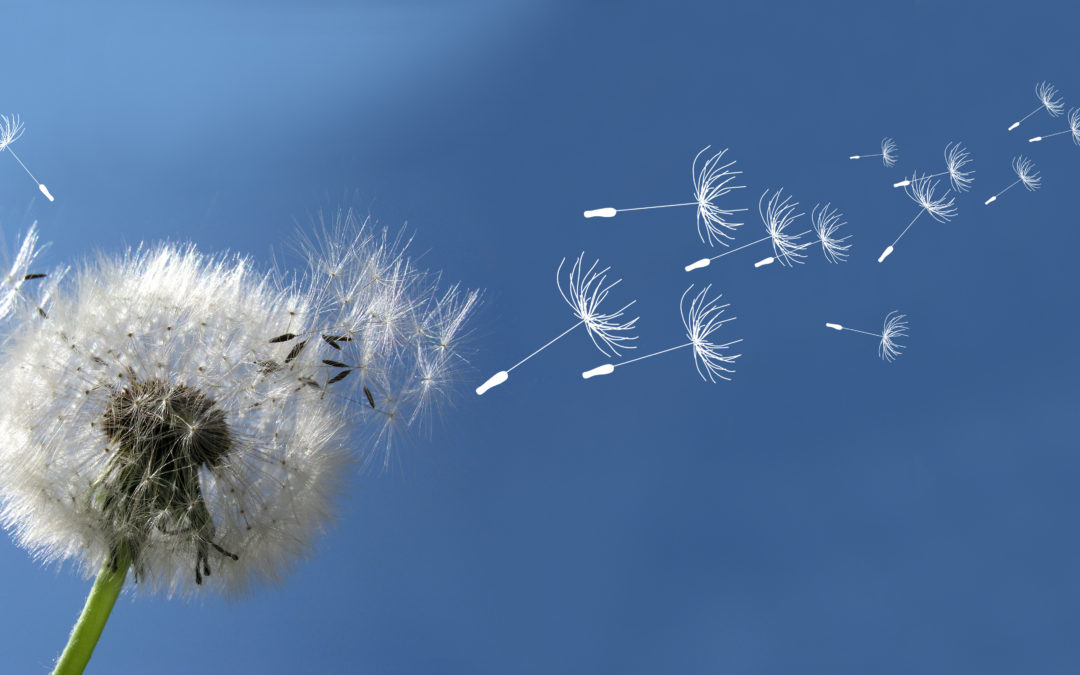 Sống cho trọn vẹn kiếp người