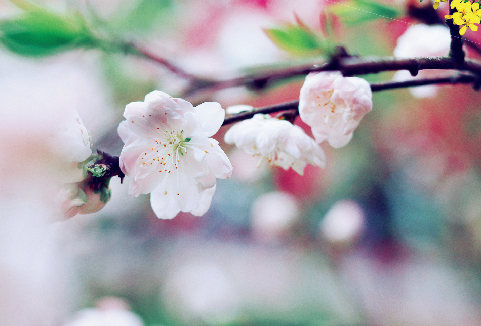 5 loại bạn không nên kết giao