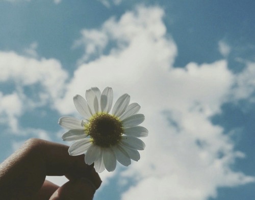 Quẳng gánh lo đi mà vui sống