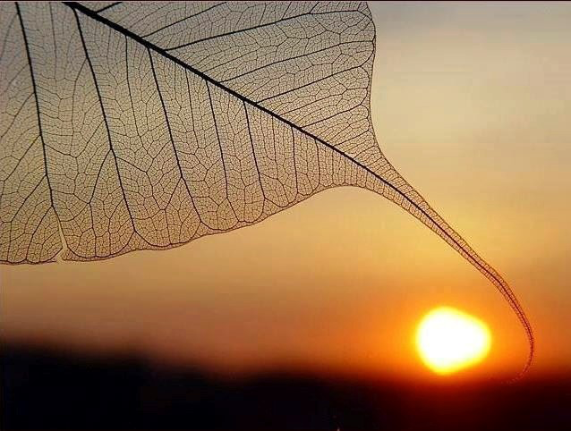 Nhìn lỗi người