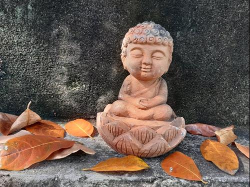 Đừng cố gắng trở thành người khác