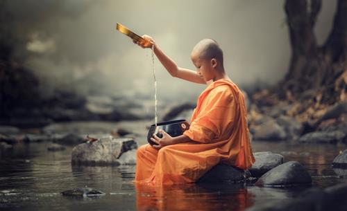 Chúng ta nên học đạo hạnh của đất