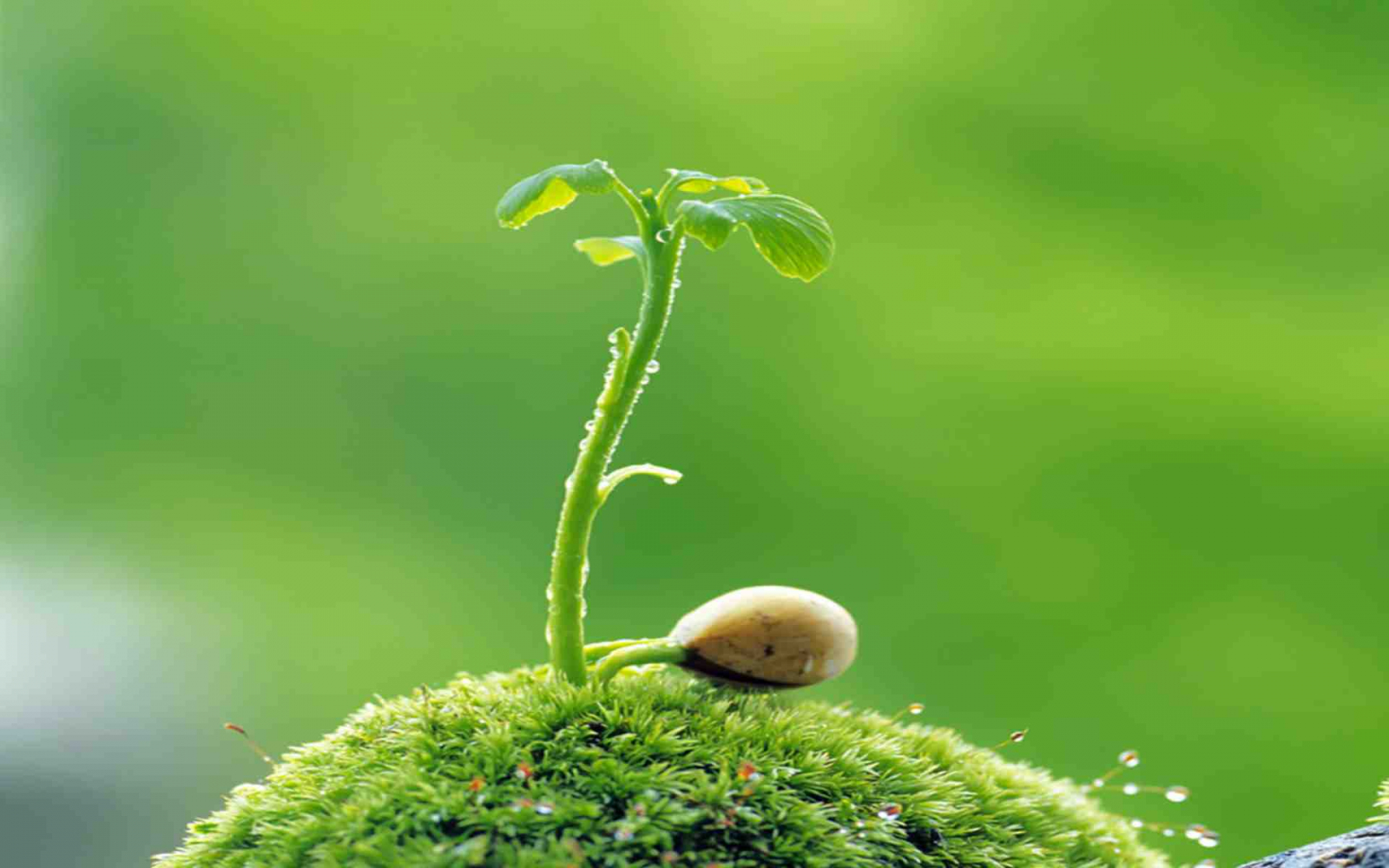 DỪNG lại sự keo kiệt