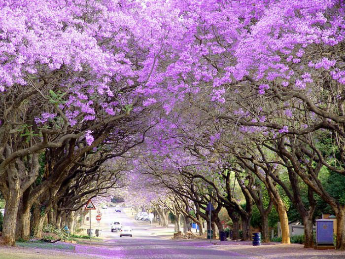 Tốt hay không tốt đều vốn tại bởi lòng người