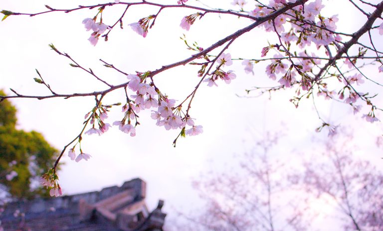 Cảm ơn những gì đang có, trân trọng mọi thứ xung quanh