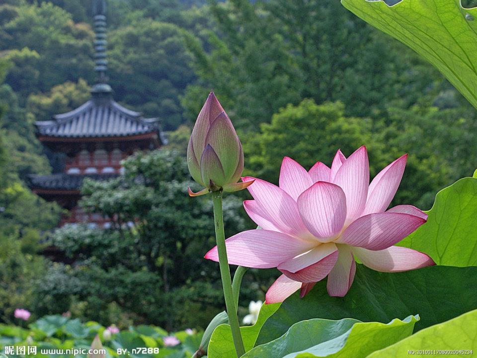 Có buông bỏ mới nhẹ nhàng