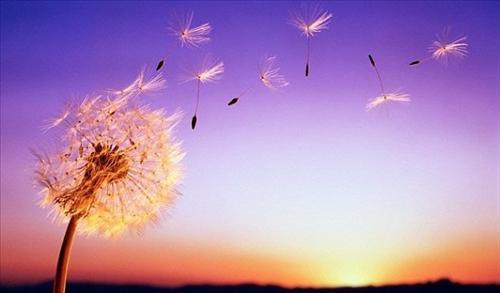 Cuộc đời nói dài thì rất dài, mà nói ngắn cũng rất ngắn