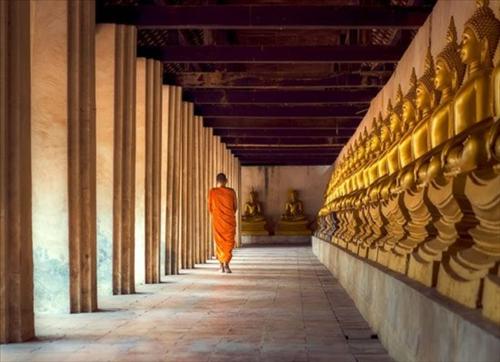 Bài học đi tìm hạnh phúc: Niềm vui từ chính bản thân