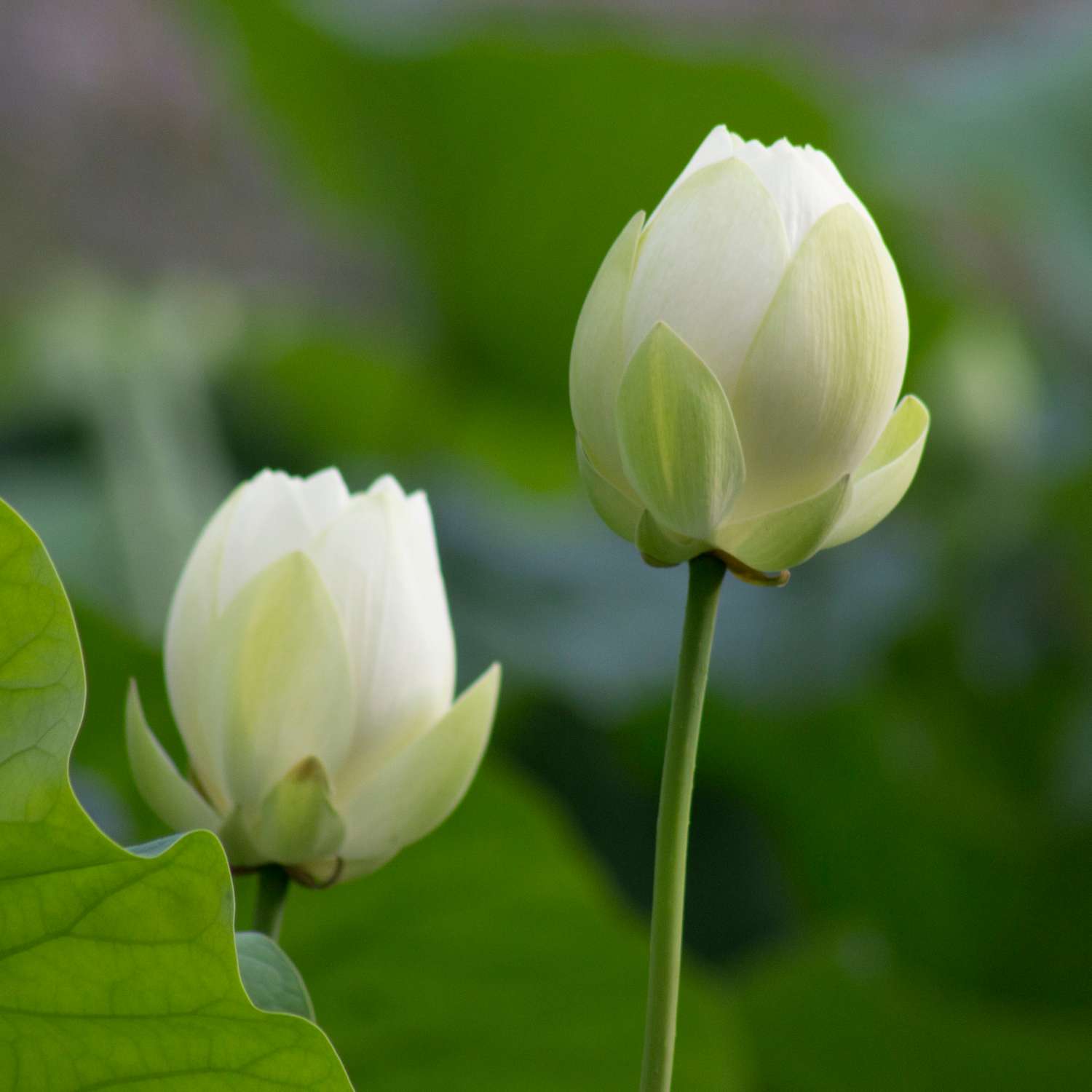 Hạnh phúc thật ra đơn giản lắm