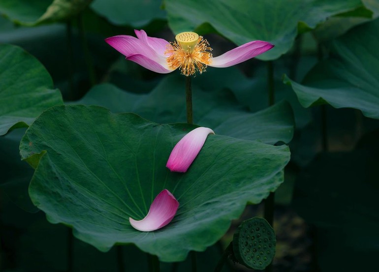 Luôn cảm thấy bản thân may mắn, luôn cân nhắc mình nhận được gì