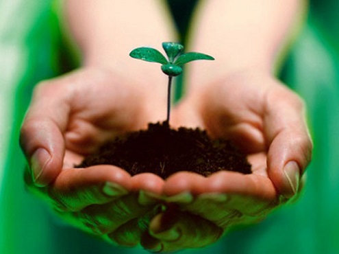 Tâm hồn giữ thiện niệm và suy nghĩ tích cực thì khoẻ mạnh hơn