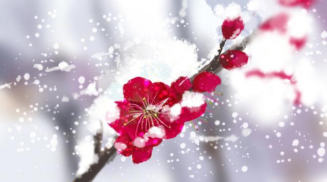 Bao nhiều tiền bạc cũng không mua nổi một ngày