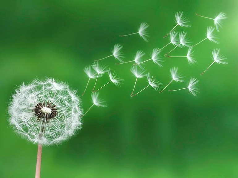 Sống tùy duyên có thụ động, tiêu cực?