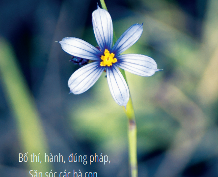 Tránh xa người vong ân bội nghĩa