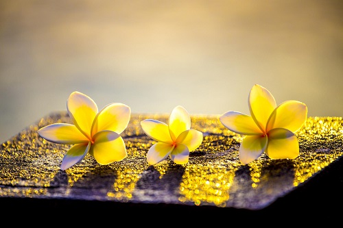 Người đã ở bên bạn hơn mười hai năm, đáng là tình bạn cả đời