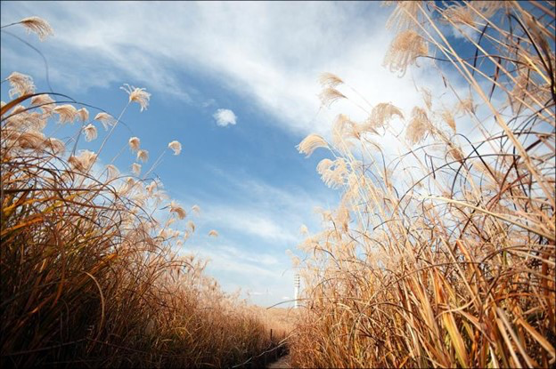 Học cách chấp nhận cuộc sống