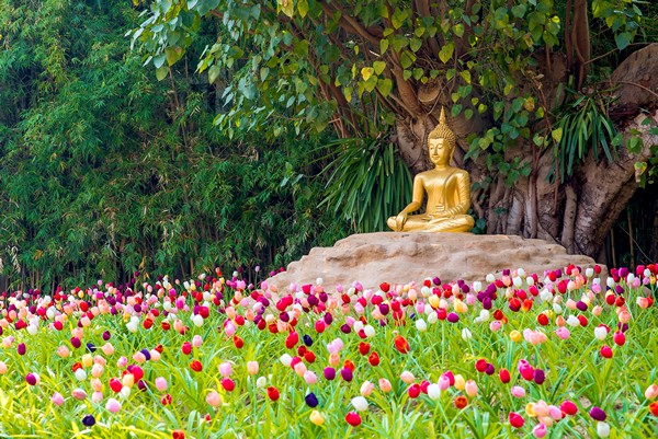 Đời người có 3 việc càng bớt được thì cuộc sống càng ''lên hương''