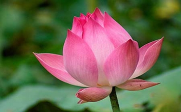Doanh nghiệp sẽ thành công nếu 'đủ duyên'