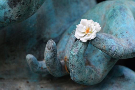 Người bạn thật sự