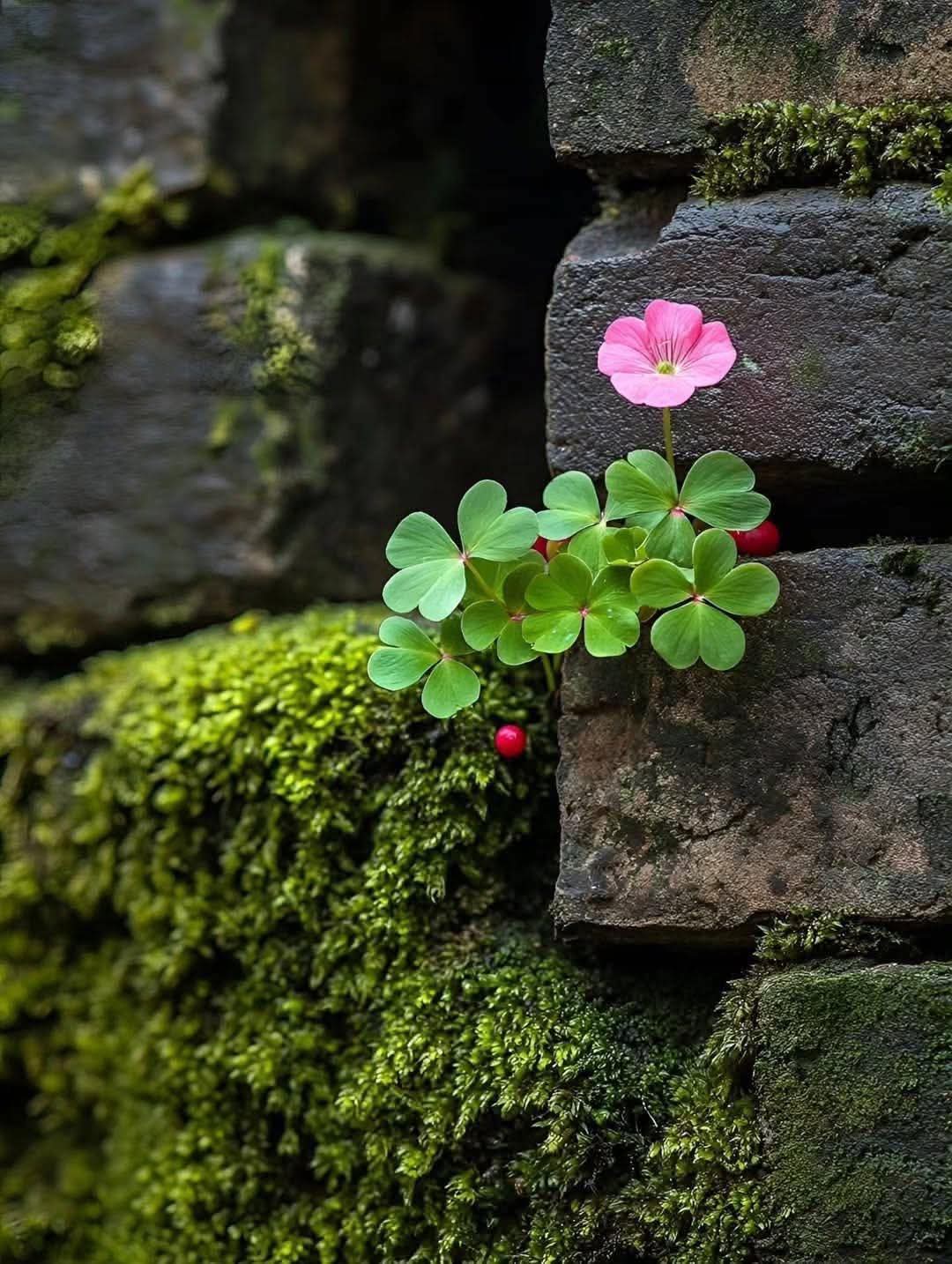 Một ngày biết đủ