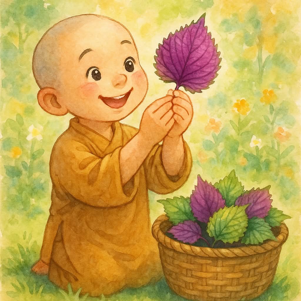Dương dưỡng khí, âm dưỡng huyết