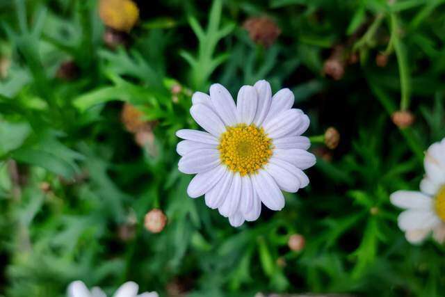 10 điều nên làm mỗi ngày