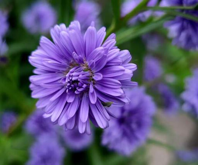 Sám hối và hồi hướng