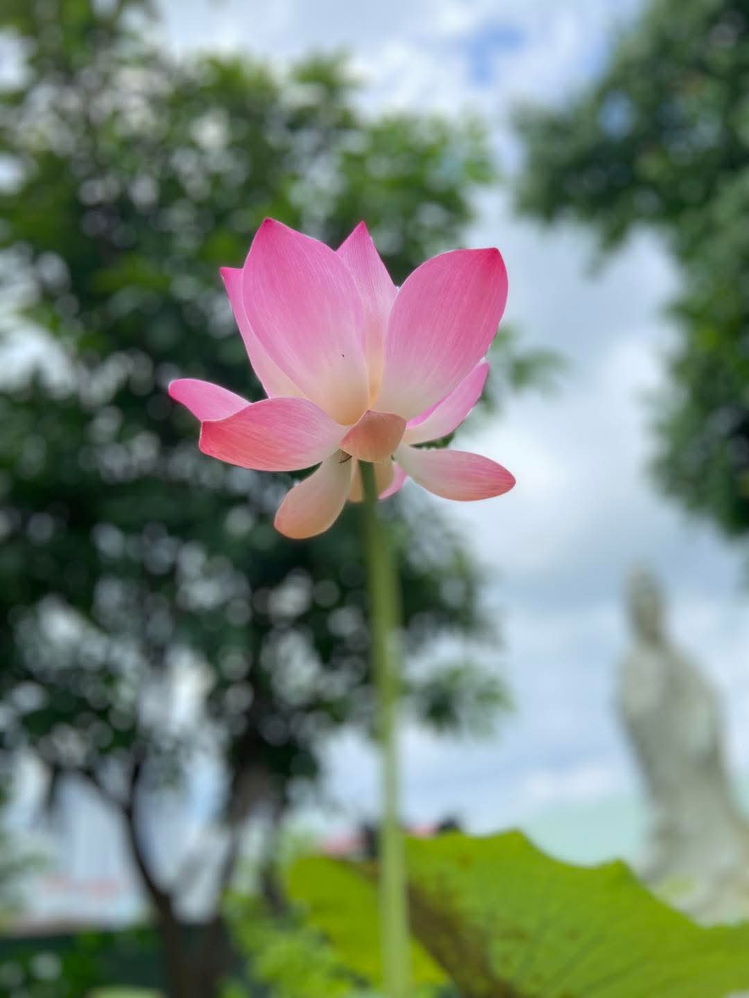 Muốn khỏe thì sống thuận theo tự nhiên