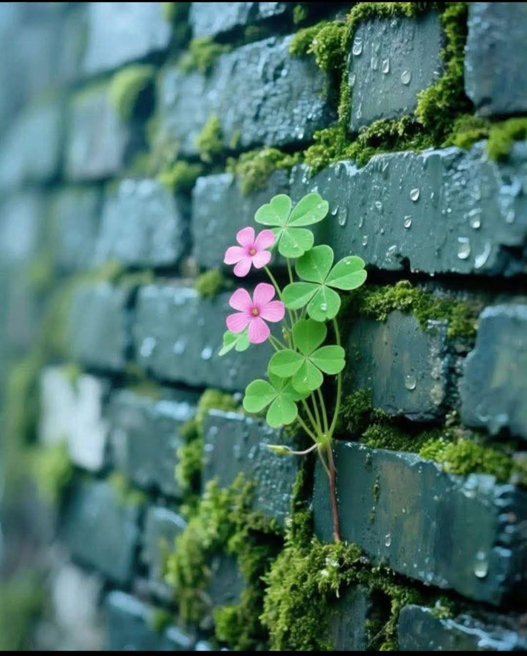 Chớp mắt một cái liền đã một ngày