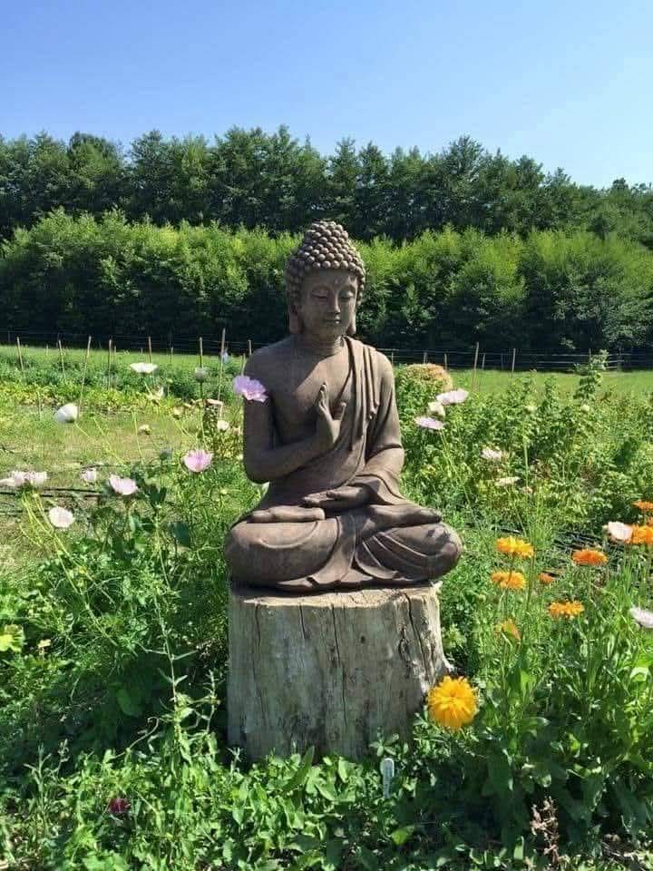 Đừng quên chánh niệm