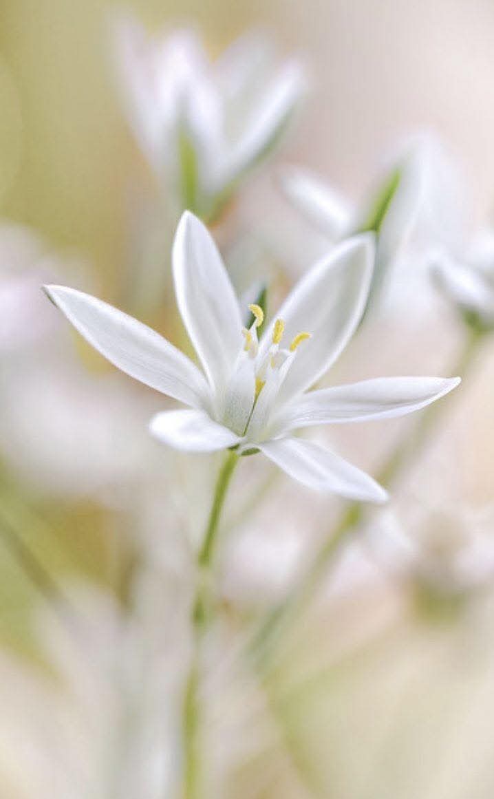 Trí tuệ và phước đức