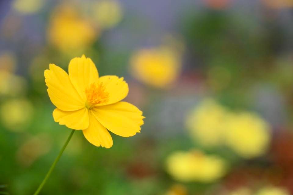 Mỗi ngày luôn nở nụ cười trên môi