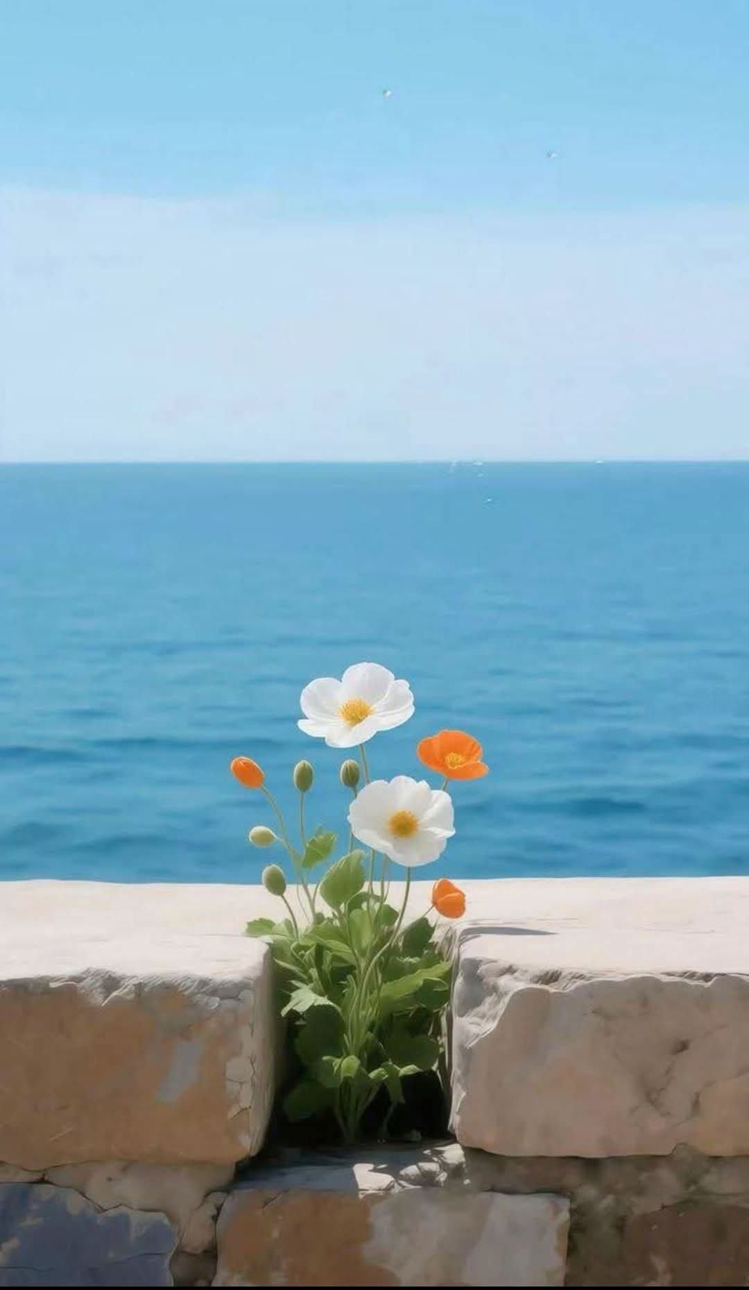 Đôi khi sự đúng sai không quan trọng 