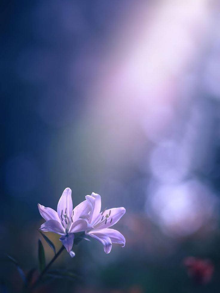 Người cùng tần số