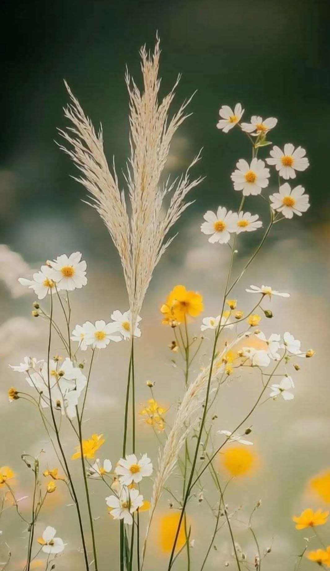 Thời gian không chờ đợi ai