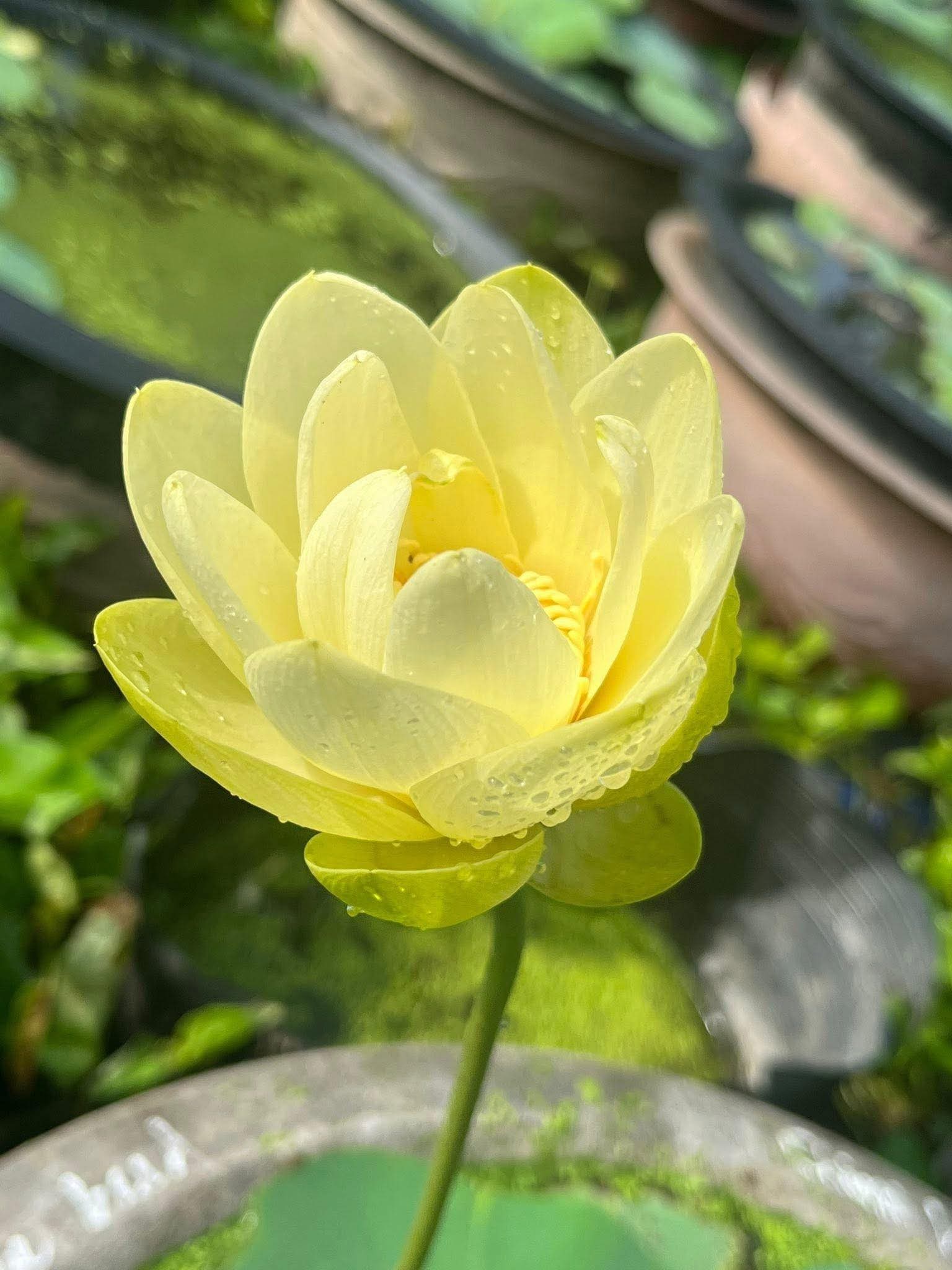 Hãy tập cho đi nhiều nhé