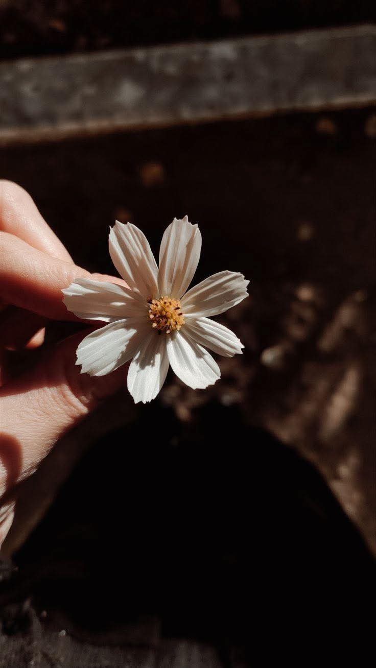 Có những chuyện, mỉm cười là được