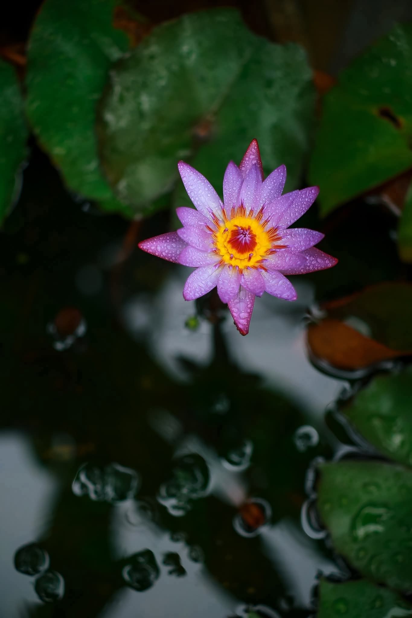 Phải chăng cơ thể bạn đang cần sống khác đi