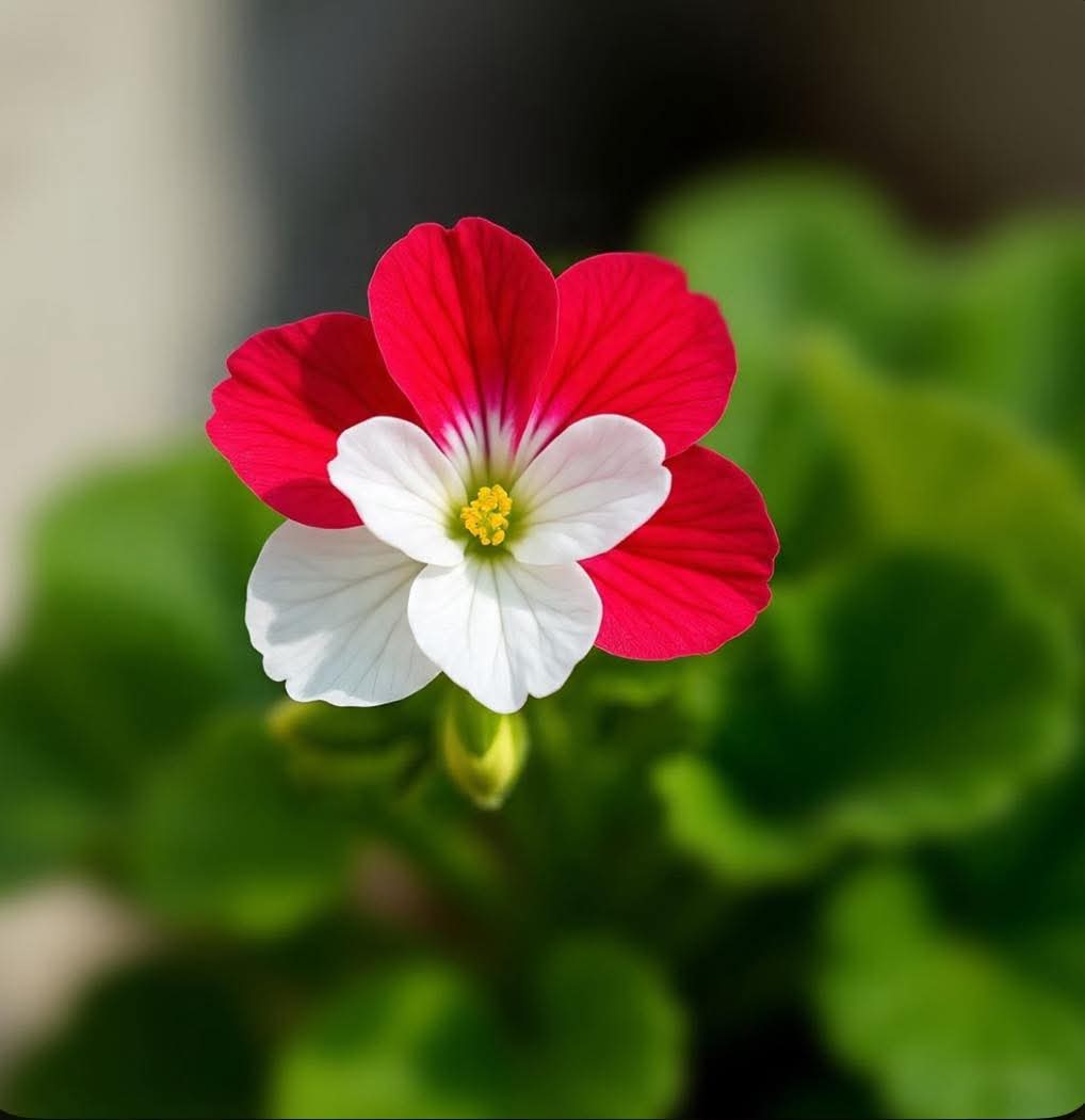 Trân trọng giây phút hiện tại