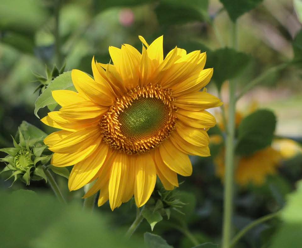 Câu chuyện nhân quả