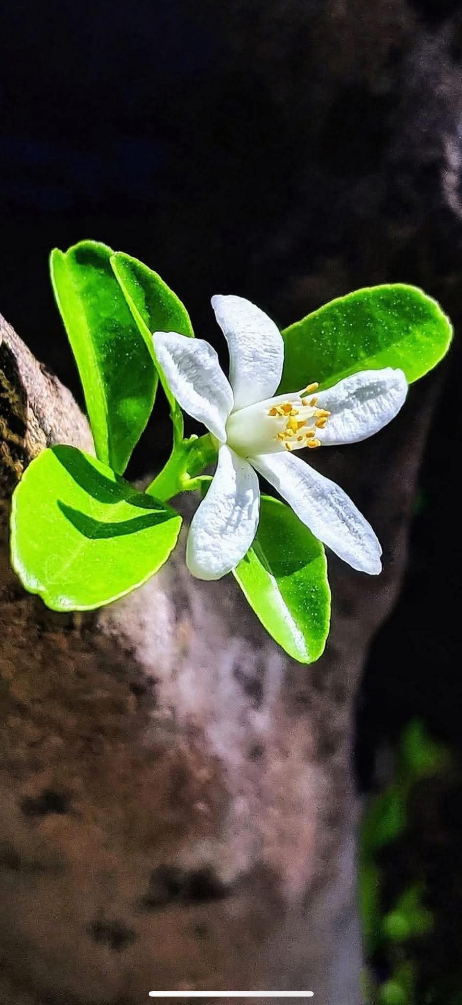 Nhận ra sai để sửa