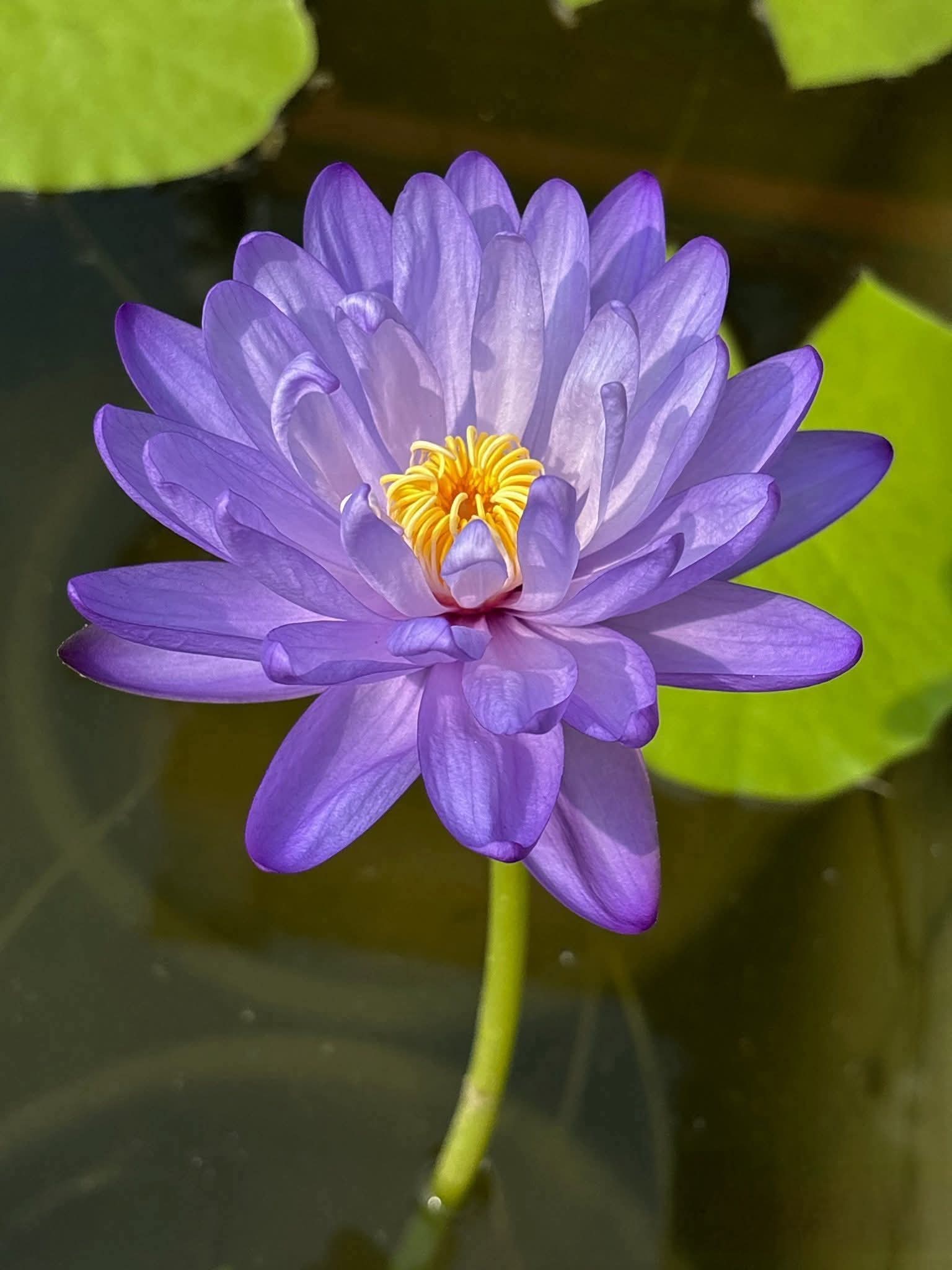 Hạnh phúc là những điều giản dị