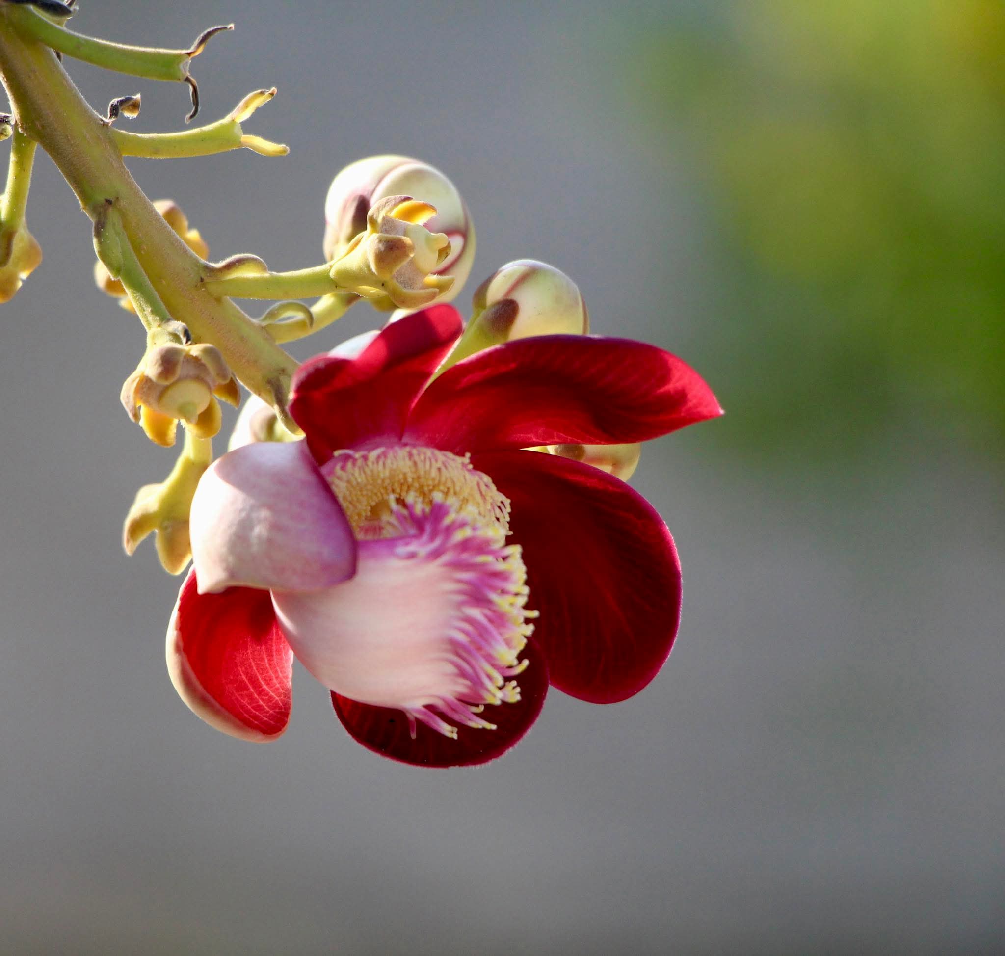 Quả báo của sự phí phạm